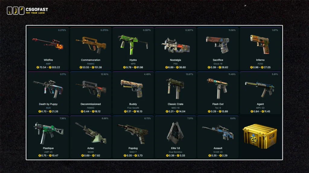 CS20 Case