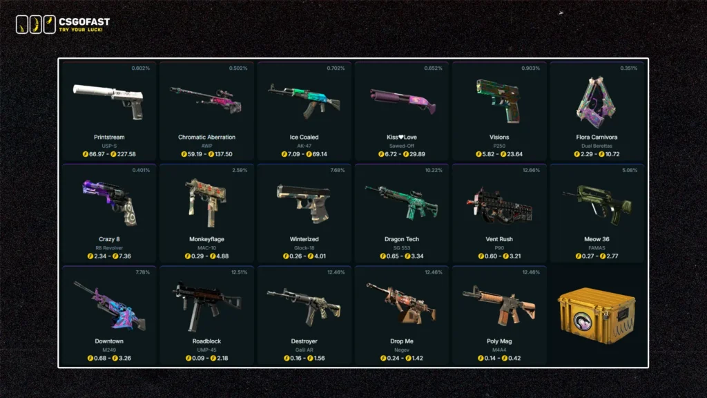 Recoil Case